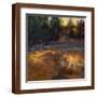 Brown Frame