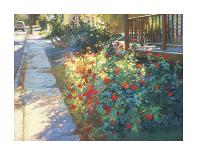 To the Villa-Christine Debrosky-Stretched Canvas