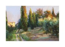 Noon Along the Wall-Christine Debrosky-Framed Giclee Print