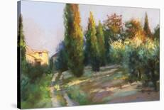 Noon Along the Wall-Christine Debrosky-Giclee Print