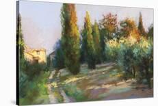 To the Villa-Christine Debrosky-Stretched Canvas