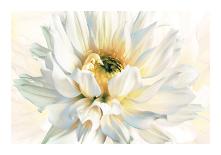 Painted Petals I-Christine Elizabeth-Giclee Print