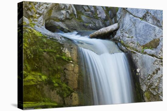 Christine Falls, Mount Rainier National Park, Washington, USA-Michel Hersen-Stretched Canvas