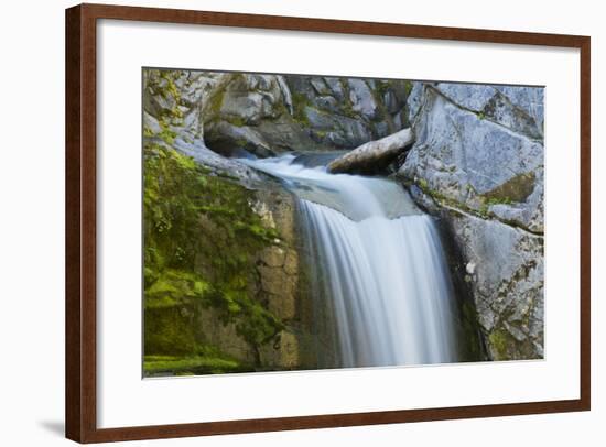 Christine Falls, Mount Rainier National Park, Washington, USA-Michel Hersen-Framed Photographic Print