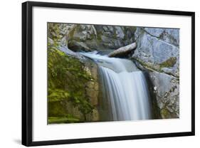 Christine Falls, Mount Rainier National Park, Washington, USA-Michel Hersen-Framed Photographic Print