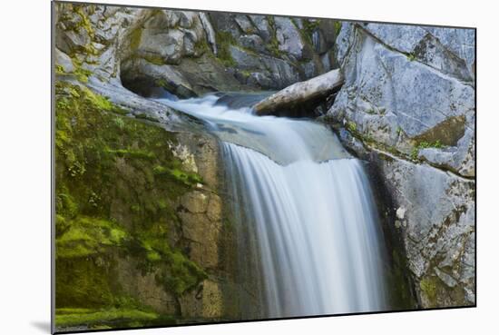 Christine Falls, Mount Rainier National Park, Washington, USA-Michel Hersen-Mounted Photographic Print