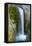 Christine Falls, Mount Rainier National Park, Washington, USA-Michel Hersen-Framed Stretched Canvas