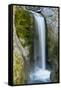 Christine Falls, Mount Rainier National Park, Washington, USA-Michel Hersen-Framed Stretched Canvas