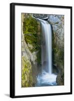 Christine Falls, Mount Rainier National Park, Washington, USA-Michel Hersen-Framed Photographic Print