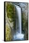 Christine Falls, Mount Rainier National Park, Washington, USA-Michel Hersen-Framed Stretched Canvas