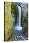 Christine Falls, Mount Rainier National Park, Washington, USA-Michel Hersen-Stretched Canvas