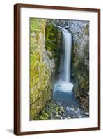 Christine Falls, Mount Rainier National Park, Washington, USA-Michel Hersen-Framed Photographic Print