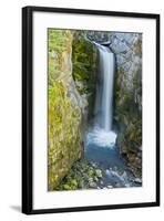 Christine Falls, Mount Rainier National Park, Washington, USA-Michel Hersen-Framed Photographic Print