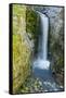 Christine Falls, Mount Rainier National Park, Washington, USA-Michel Hersen-Framed Stretched Canvas