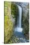 Christine Falls, Mount Rainier National Park, Washington, USA-Michel Hersen-Stretched Canvas