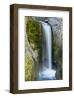 Christine Falls, Mount Rainier National Park, Washington, USA-Michel Hersen-Framed Photographic Print
