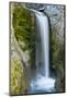 Christine Falls, Mount Rainier National Park, Washington, USA-Michel Hersen-Mounted Photographic Print