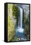 Christine Falls, Mount Rainier National Park, Washington, Usa-Michel Hersen-Framed Stretched Canvas