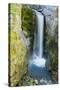 Christine Falls, Mount Rainier National Park, Washington, Usa-Michel Hersen-Stretched Canvas