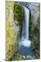 Christine Falls, Mount Rainier National Park, Washington, Usa-Michel Hersen-Mounted Photographic Print