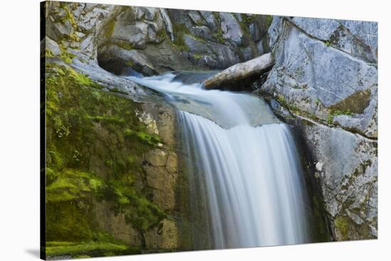 Christine Falls, Mount Rainier National Park, Washington, USA-Michel Hersen-Stretched Canvas