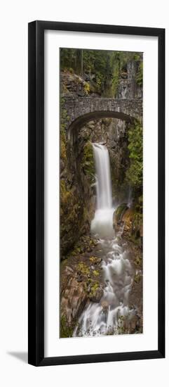 Christine Falls Mt Rainier Washington-Steve Gadomski-Framed Premium Photographic Print