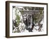 Christine Falls, Rainier National Park, Mt, Washington, Usa-Jamie & Judy Wild-Framed Photographic Print