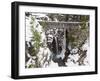 Christine Falls, Rainier National Park, Mt, Washington, Usa-Jamie & Judy Wild-Framed Photographic Print