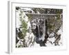 Christine Falls, Rainier National Park, Mt, Washington, Usa-Jamie & Judy Wild-Framed Photographic Print