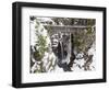 Christine Falls, Rainier National Park, Mt, Washington, Usa-Jamie & Judy Wild-Framed Photographic Print