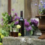 Red Wine Glasses & Red Wine Bottle on Stone Trough with Flowers-Christine Gill?-Photographic Print