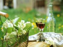 Two Glasses of Red Wine in Springtime Garden-Christine Gillé-Photographic Print