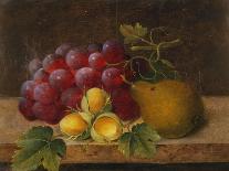 Grapes, Cobnuts and a Pear on a Ledge-Christine Marie Lovmand-Stretched Canvas