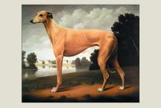 Greyhound on a Parkland Landscape-Christine Merrill-Mounted Art Print