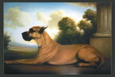 Recumbent Great Dane-Christine Merrill-Mounted Art Print