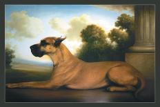 Recumbent Great Dane-Christine Merrill-Stretched Canvas