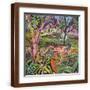 Brown Frame