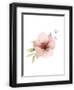Chelsea Black