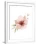 Chelsea White