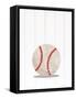 Framed Canvas