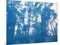 Wood Mount