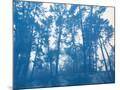 Wood Mount