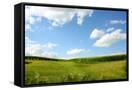 Canvas Black