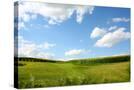 Stretched Canvas