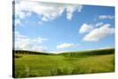 Stretched Canvas