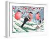Christmas 09 Winter-Veruschka Guerra-Framed Giclee Print