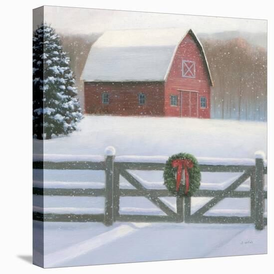 Christmas Affinity VI Crop-James Wiens-Stretched Canvas