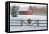 Christmas Affinity VI-James Wiens-Framed Stretched Canvas