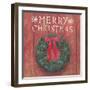 Christmas Affinity VII-James Wiens-Framed Art Print