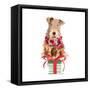Christmas Airedale Terrier-Lanie Loreth-Framed Stretched Canvas